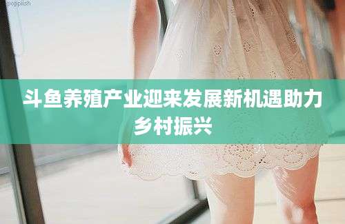 斗鱼养殖产业迎来发展新机遇助力乡村振兴