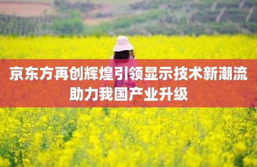 京东方再创辉煌引领显示技术新潮流助力我国产业升级