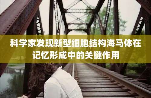 科学家发现新型细胞结构海马体在记忆形成中的关键作用