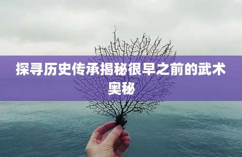 探寻历史传承揭秘很早之前的武术奥秘