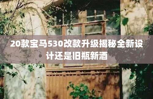 20款宝马530改款升级揭秘全新设计还是旧瓶新酒