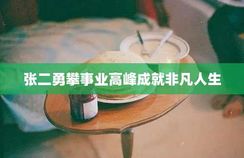 张二勇攀事业高峰成就非凡人生