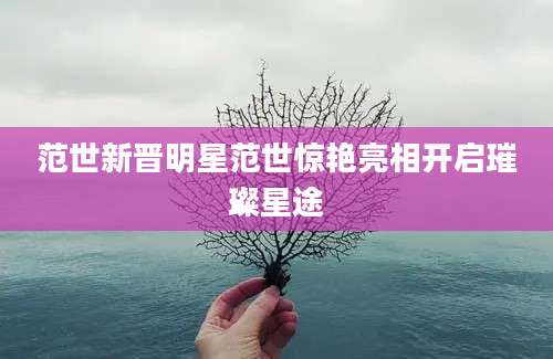 范世新晋明星范世惊艳亮相开启璀璨星途