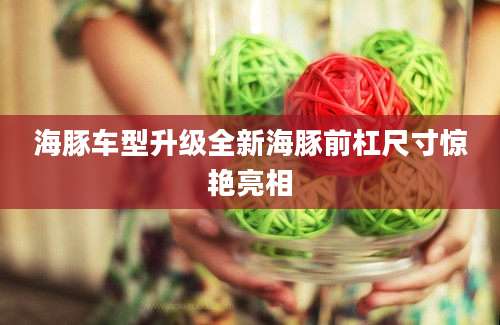 海豚车型升级全新海豚前杠尺寸惊艳亮相
