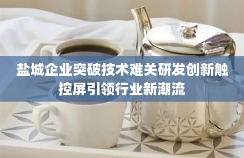 盐城企业突破技术难关研发创新触控屏引领行业新潮流