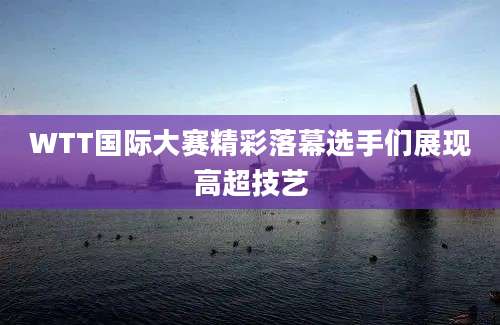 WTT国际大赛精彩落幕选手们展现高超技艺