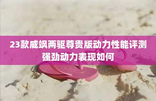 23款威飒两驱尊贵版动力性能评测强劲动力表现如何