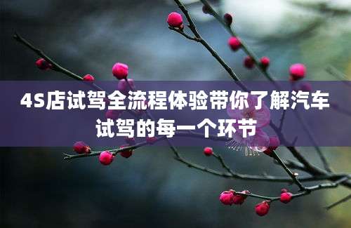 4S店试驾全流程体验带你了解汽车试驾的每一个环节