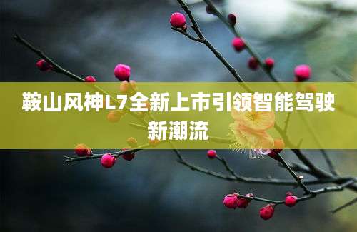 鞍山风神L7全新上市引领智能驾驶新潮流