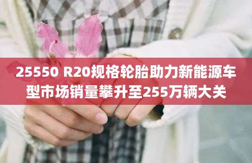 25550 R20规格轮胎助力新能源车型市场销量攀升至255万辆大关
