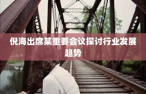 倪海出席某重要会议探讨行业发展趋势