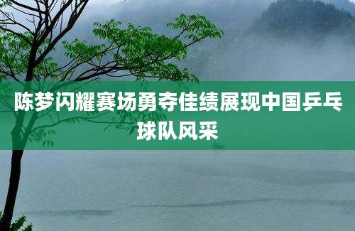 陈梦闪耀赛场勇夺佳绩展现中国乒乓球队风采