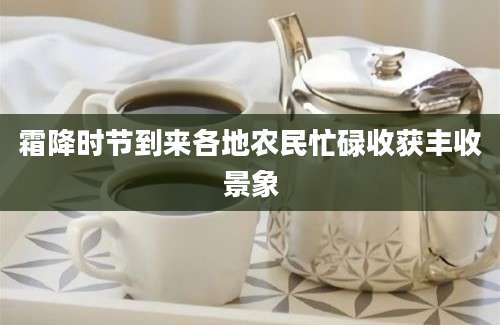 霜降时节到来各地农民忙碌收获丰收景象
