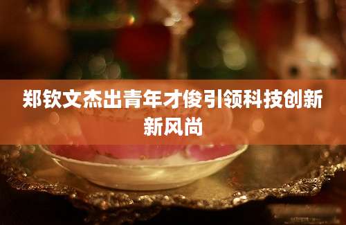 郑钦文杰出青年才俊引领科技创新新风尚