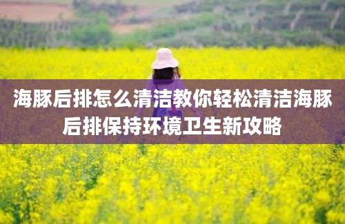 海豚后排怎么清洁教你轻松清洁海豚后排保持环境卫生新攻略