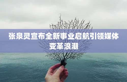张泉灵宣布全新事业启航引领媒体变革浪潮