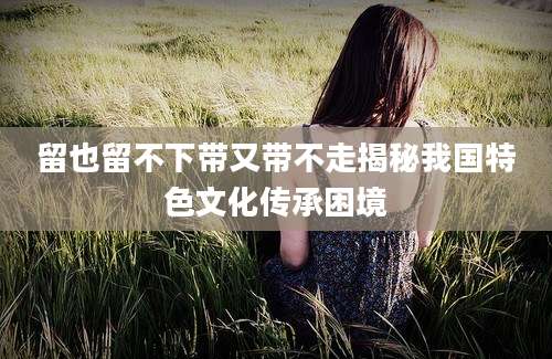 留也留不下带又带不走揭秘我国特色文化传承困境