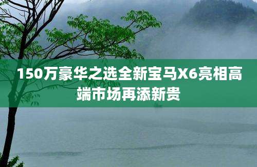 150万豪华之选全新宝马X6亮相高端市场再添新贵