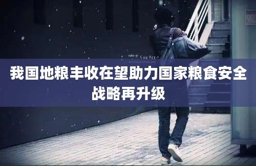 我国地粮丰收在望助力国家粮食安全战略再升级