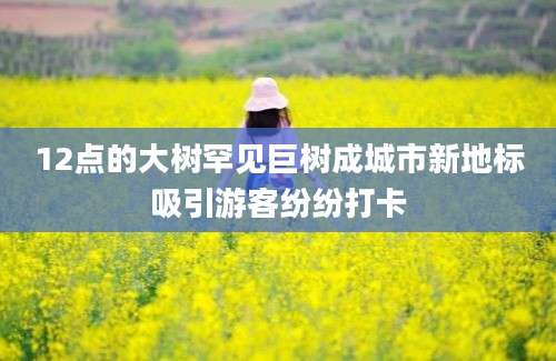 12点的大树罕见巨树成城市新地标吸引游客纷纷打卡