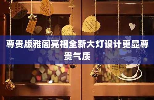 尊贵版雅阁亮相全新大灯设计更显尊贵气质