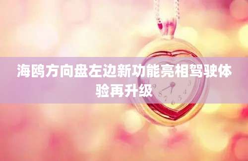 海鸥方向盘左边新功能亮相驾驶体验再升级