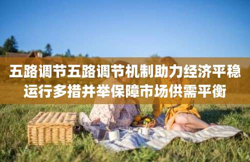 五路调节五路调节机制助力经济平稳运行多措并举保障市场供需平衡