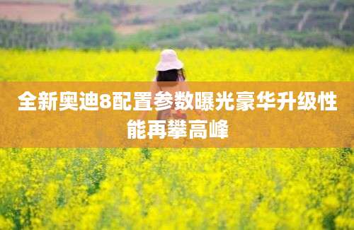 全新奥迪8配置参数曝光豪华升级性能再攀高峰