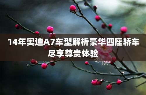14年奥迪A7车型解析豪华四座轿车尽享尊贵体验
