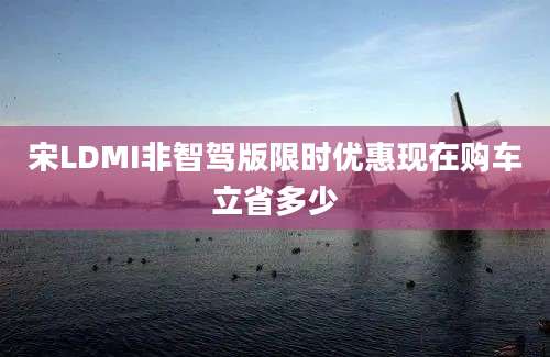 宋LDMI非智驾版限时优惠现在购车立省多少