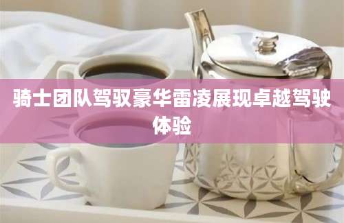 骑士团队驾驭豪华雷凌展现卓越驾驶体验