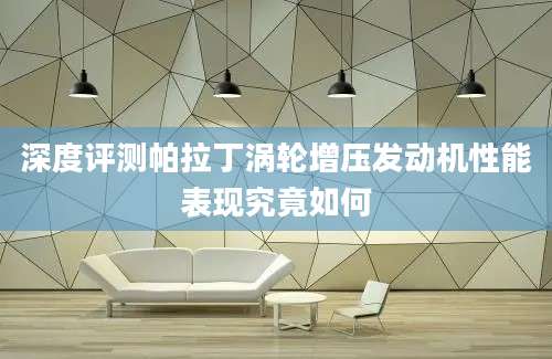 深度评测帕拉丁涡轮增压发动机性能表现究竟如何
