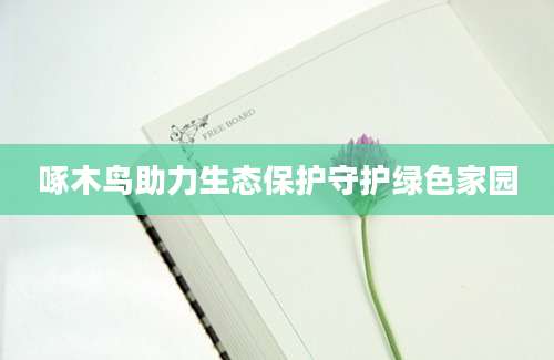 啄木鸟助力生态保护守护绿色家园