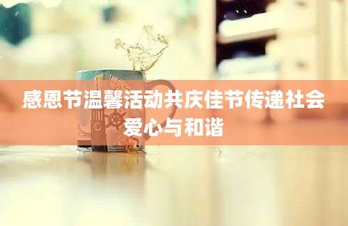 感恩节温馨活动共庆佳节传递社会爱心与和谐