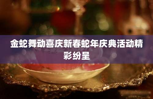 金蛇舞动喜庆新春蛇年庆典活动精彩纷呈