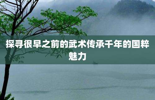 探寻很早之前的武术传承千年的国粹魅力