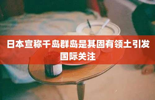 日本宣称千岛群岛是其固有领土引发国际关注