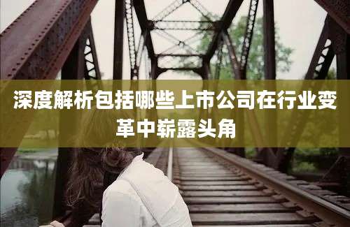 深度解析包括哪些上市公司在行业变革中崭露头角