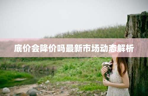 底价会降价吗最新市场动态解析