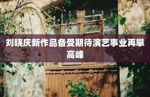 刘晓庆新作品备受期待演艺事业再攀高峰