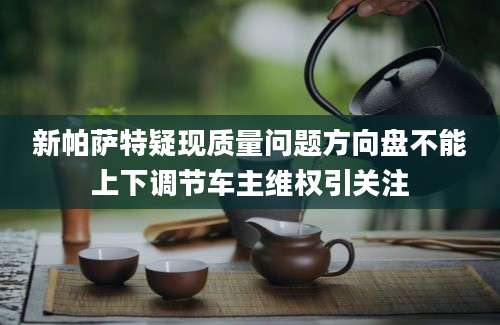 新帕萨特疑现质量问题方向盘不能上下调节车主维权引关注