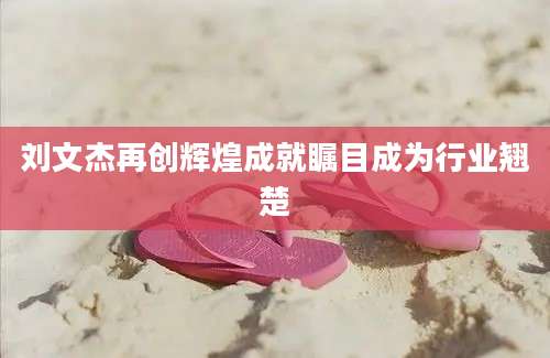 刘文杰再创辉煌成就瞩目成为行业翘楚