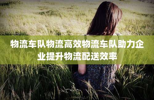 物流车队物流高效物流车队助力企业提升物流配送效率