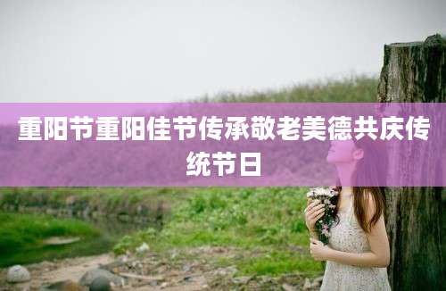 重阳节重阳佳节传承敬老美德共庆传统节日