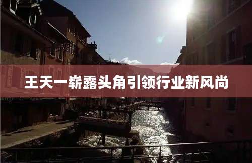 王天一崭露头角引领行业新风尚