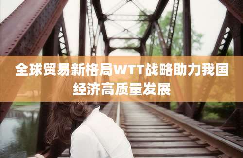 全球贸易新格局WTT战略助力我国经济高质量发展
