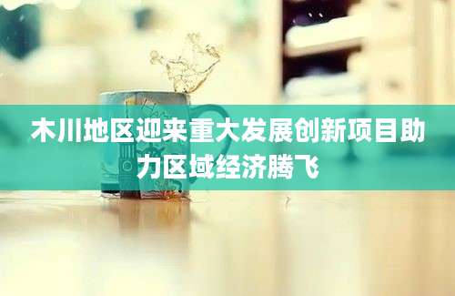木川地区迎来重大发展创新项目助力区域经济腾飞