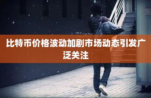 比特币价格波动加剧市场动态引发广泛关注