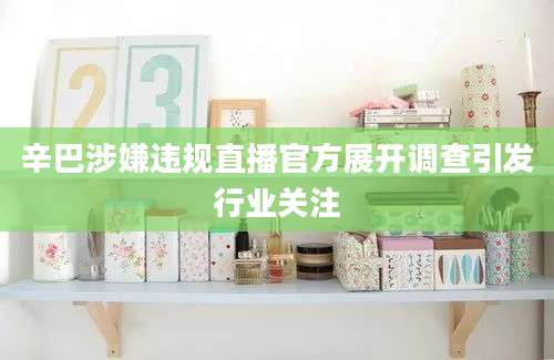 辛巴涉嫌违规直播官方展开调查引发行业关注