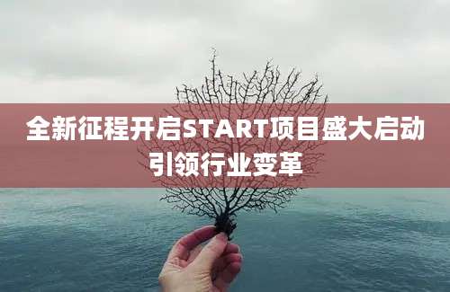 全新征程开启START项目盛大启动引领行业变革
